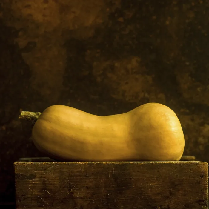 Framed Print : A butternut squash stands upright