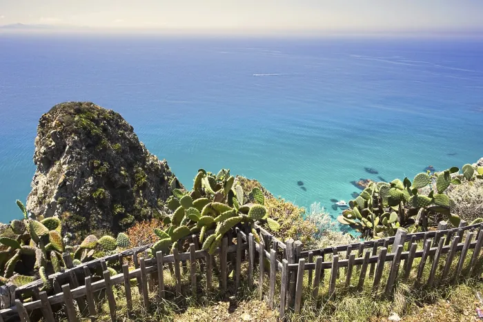 Framed Print : Cactus landscape with views of cliffs and the wide blue sea