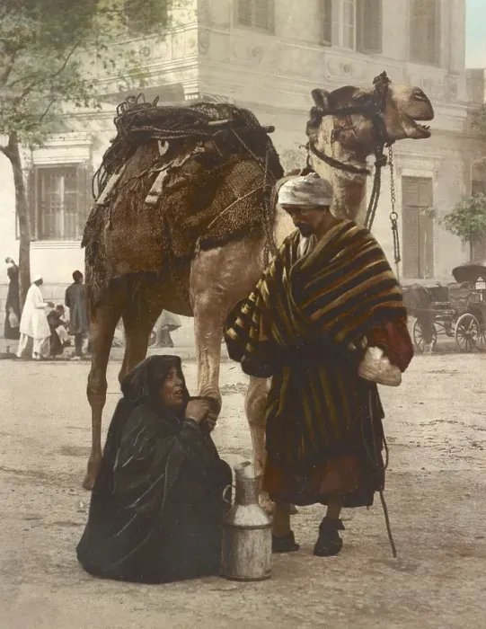 Framed Print : Cairo. Bedouin and his woman after the walk
