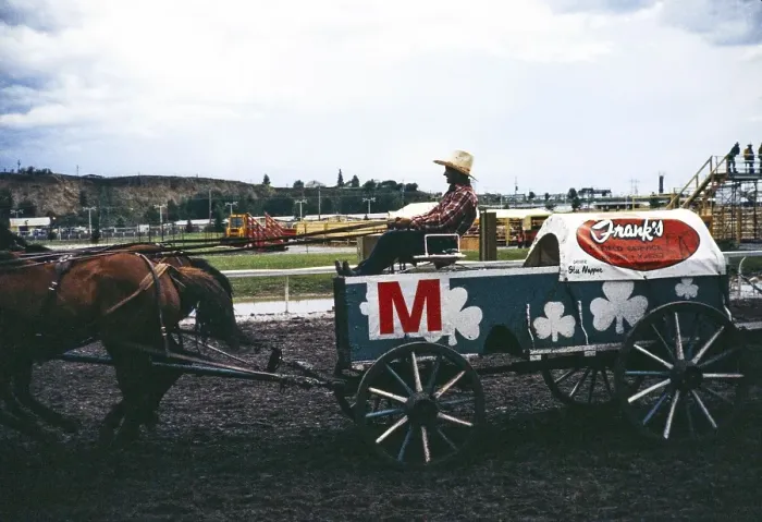 Framed Print : Calgary Exhibition and Stampede, Canada in the late 1970s or early 1980s Chuckwagon racer Stu Napper