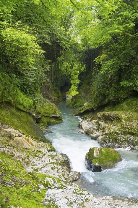 Framed Print : Calm flowing river through green forests and rocky surroundings