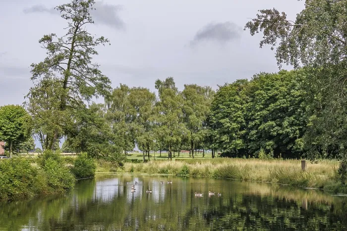 Framed Print : Calm lake with ducks, surrounded by green trees and meadows under a cloudy sky