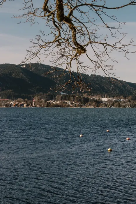 Framed Print : A calm lake with surrounding mountains and bare branches against a blue sky and buoys on the water