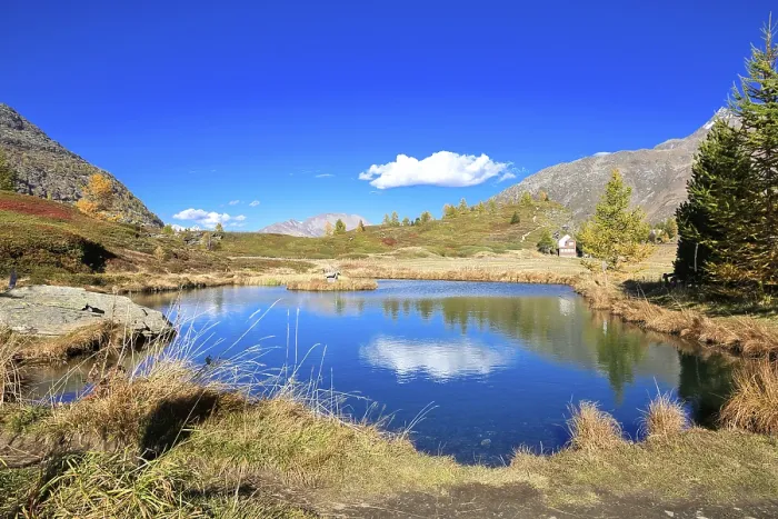 Framed Print : Calm mountain lake with clear water reflecting the blue sky and alpine landscape