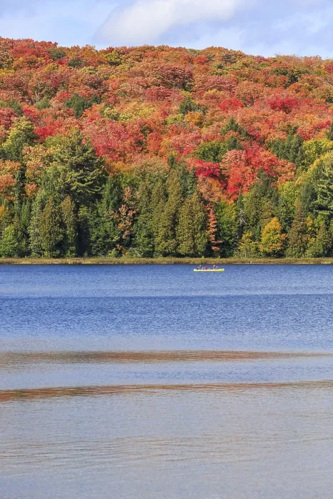 Framed Print : Canisbay Lake in Autumn, Canoeist