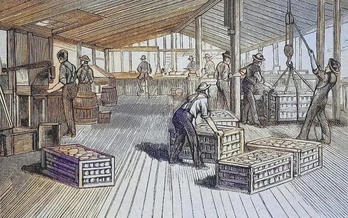 Framed Print : Canning factory of Thurber & Co in Moorestown Framed Print : Canning factory of Thurber & Co in Moorestown