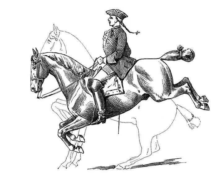 Framed Print : Capriole, the first position of the horse to jump and getting back on its feet
