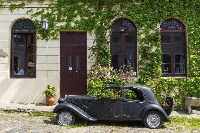 Framed Print : Car wreck of an oldtimer overgrown with plants