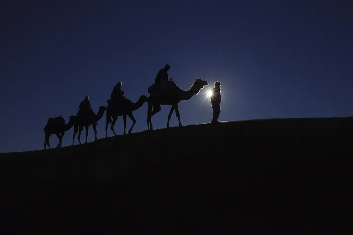 Framed Print : Caravan of camels on dune in the desert Framed Print : Caravan of camels on dune in the desert