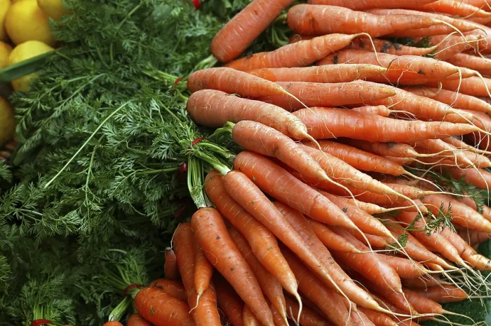 Framed Print : Carrot, carrots (daucus carota) Framed Print : Carrot, carrots (daucus carota)