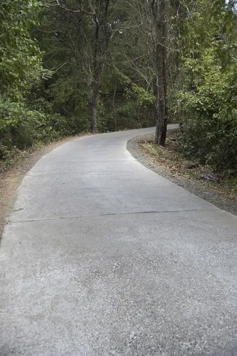 Framed Print : Carved road, sanjay gandhi national park