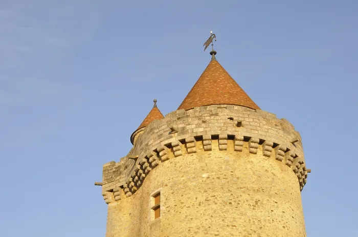 Framed Print : Castle of Blandy les Tours in Seine et Marne