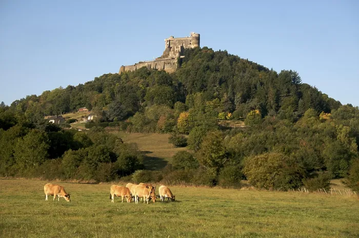 Framed Print : Castle of Murol, Auvergne, Puy-de-Dome Framed Print : Castle of Murol, Auvergne, Puy-de-Dome