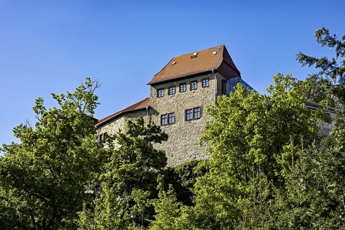 Framed Print : Part of the castle shows through trees