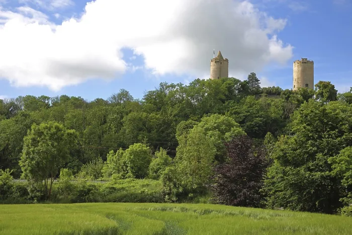 Framed Print : Castle with towers in the forest on the hill