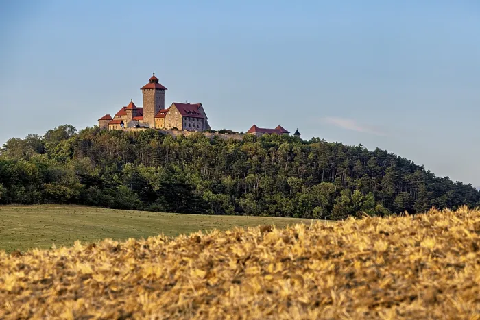 Framed Print : Castle on a wooded hill above a golden field under a clear sky Framed Print : Castle on a wooded hill above a golden field under a clear sky