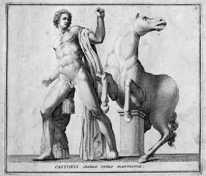 Framed Print : Castor, one of the sons of Zeus