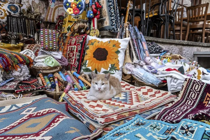 Framed Print : Cat between carpets and textiles in the bazaar of Gjirokaster