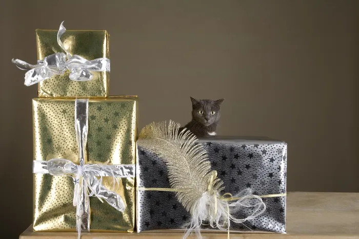 Framed Print : Cat playing with wrapped Christmas presents on an old wooden table