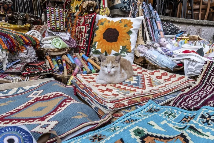 Framed Print : Cat resting on traditionally woven carpets in the bazaar of Gjirokaster Framed Print : Cat resting on traditionally woven carpets in the bazaar of Gjirokaster