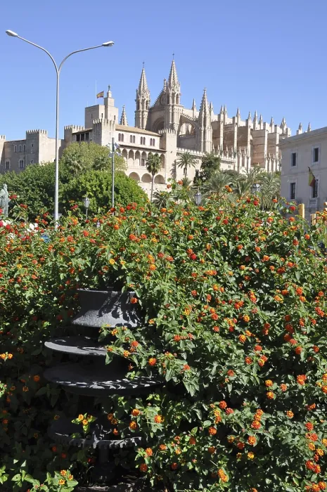 Framed Print : Cathedral, Palma, Majorca, Palma de Majorca