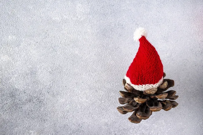 Framed Print : A cedar cone in a Santa hat flies on a gray background Framed Print : A cedar cone in a Santa hat flies on a gray background