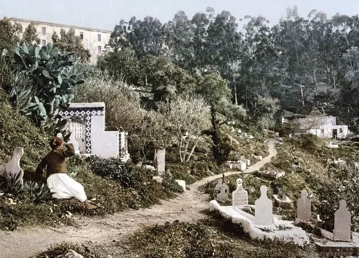 Framed Print : The cemetery, Algiers, Algeria