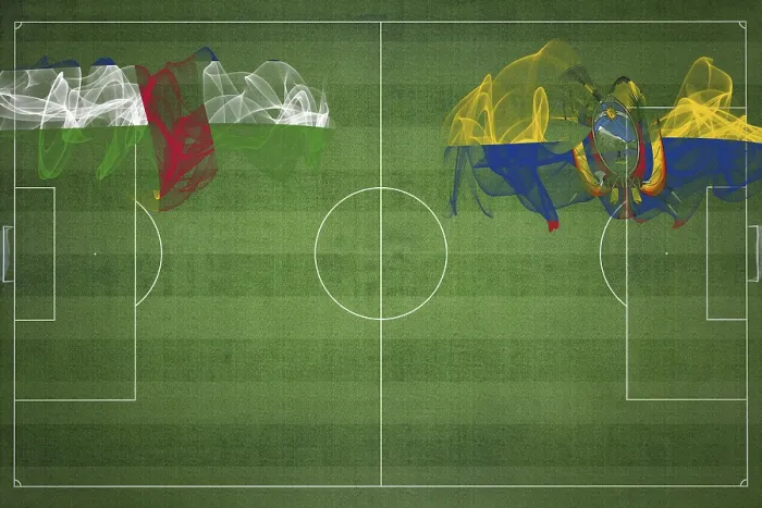 Framed Print : Central African Republic vs Ecuador Soccer Match