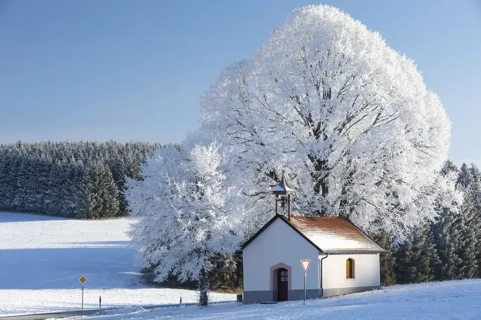 Framed Print : Chapel in front of tree in frost