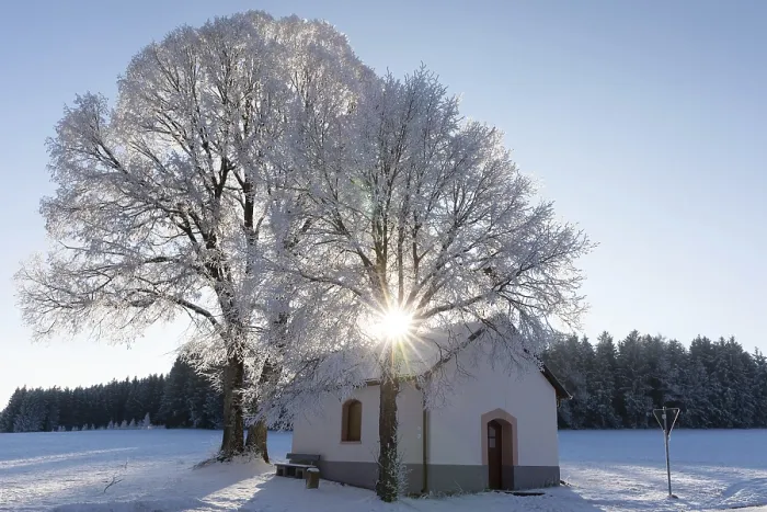 Framed Print : Chapel in front of tree in frost Framed Print : Chapel in front of tree in frost