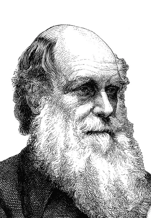 Framed Print : Charles Robert Darwin, 1809 - 1882 Framed Print : Charles Robert Darwin, 1809 - 1882