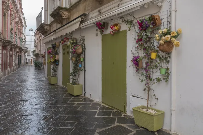 Framed Print : A charming, narrow alleyway with flower-decorated facades and green doors