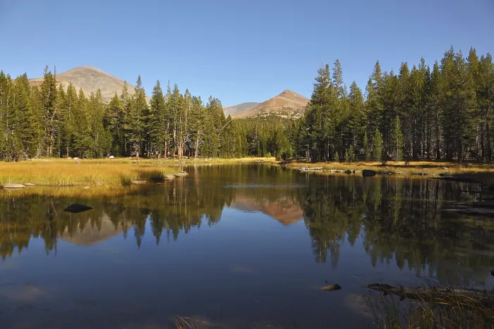 Framed Print : Charming shallow lake. Mountains and forest are reflected in smooth mirror of water