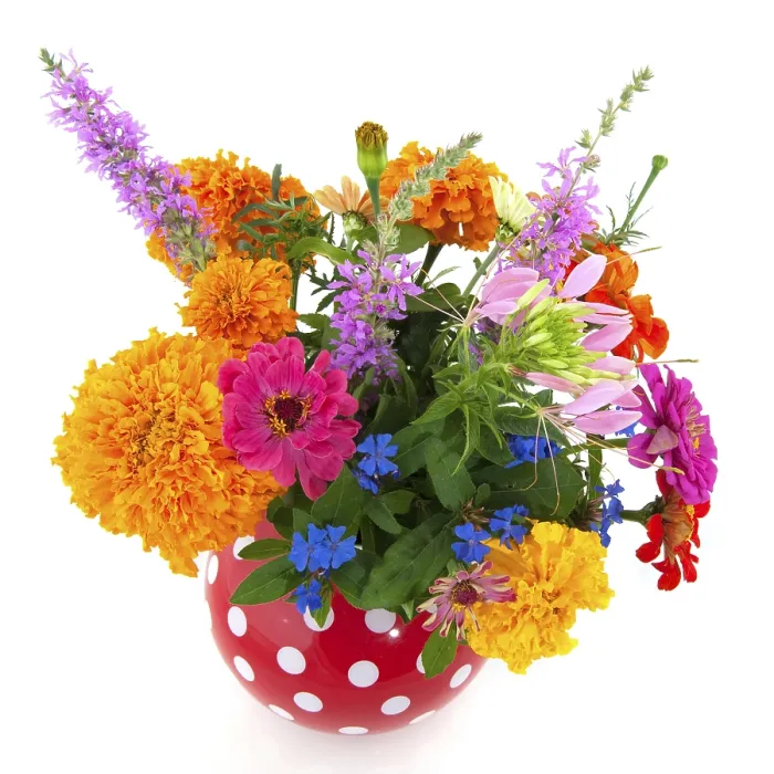 Framed Print : Cheerful summer bouquet flowers in speckles vase Framed Print : Cheerful summer bouquet flowers in speckles vase