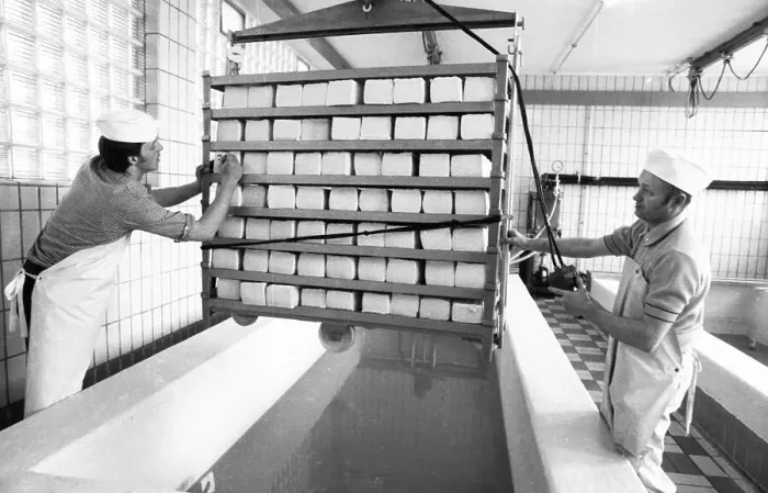 Framed Print : Cheese production at the Westmilch company on 22