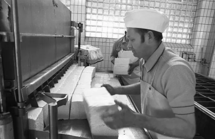 Framed Print : Cheese production at the Westmilch company on 22 Framed Print : Cheese production at the Westmilch company on 22