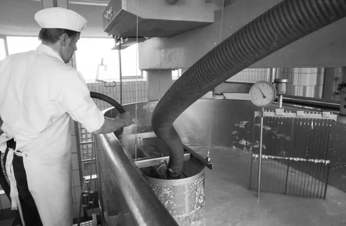 Framed Print : Cheese production at the Westmilch company on 22