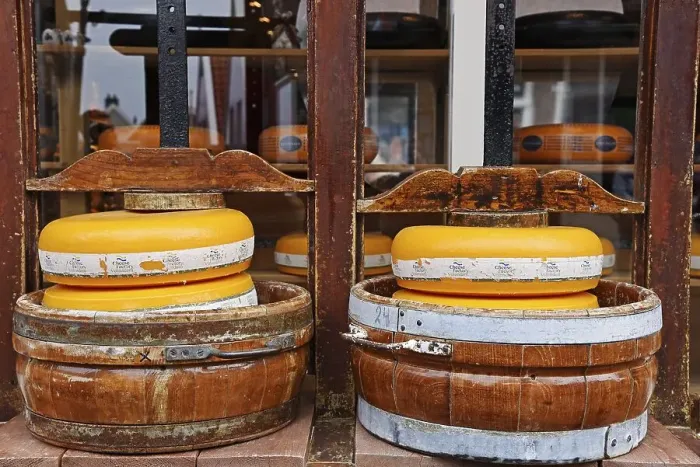 Framed Print : Cheese wheels in a cheese press