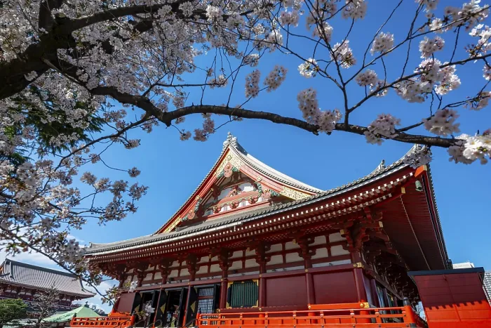 Framed Print : Cherry Blossoms and Red Temple Framed Print : Cherry Blossoms and Red Temple