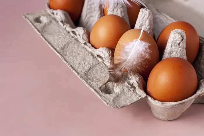 Framed Print : Chicken eggs and feathers lie in a cardboard box on a beige background with copy space