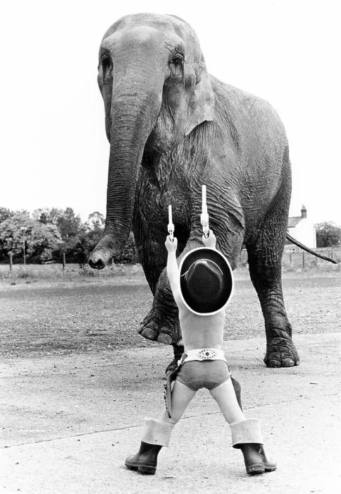 Framed Print : Child disguised as a cowboy playing with elephant