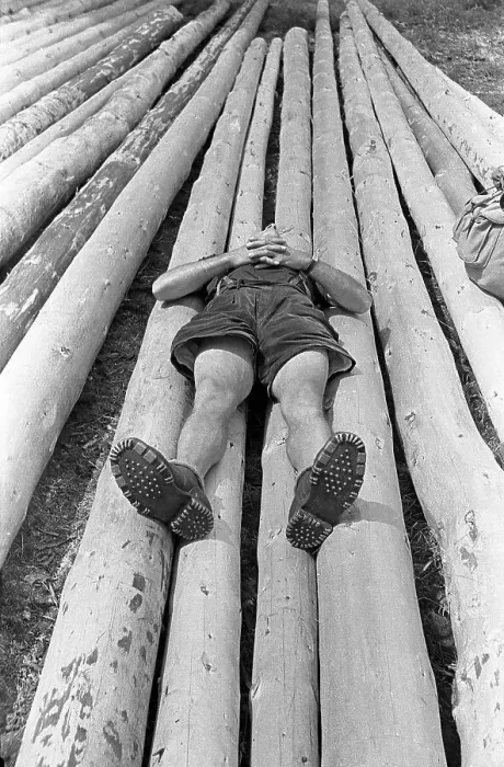 Framed Print : Child lying on felled tree trunks and resting Framed Print : Child lying on felled tree trunks and resting