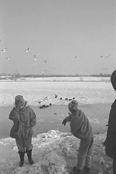 Framed Print : Children, birds, frozen Elbe, Bleckede Framed Print : Children, birds, frozen Elbe, Bleckede