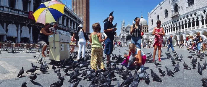 Framed Print : Children feeding pigeons, Palazzo Ducale