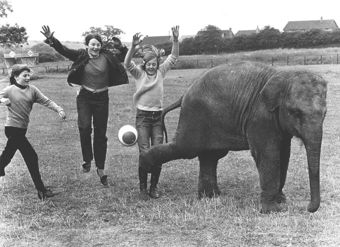 Framed Print : Children play with an elephant ball Framed Print : Children play with an elephant ball