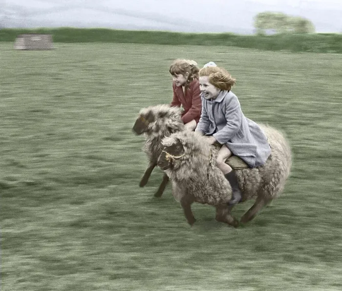 Framed Print : Two children ride on sheep, England, Great Britain