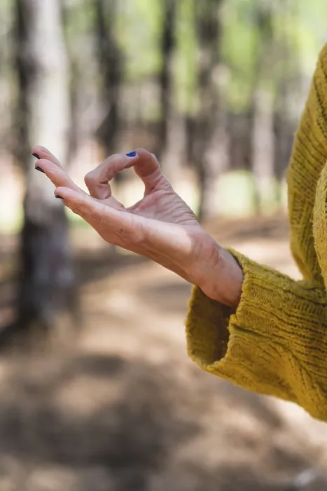Framed Print : Chin mudra close up over nature background