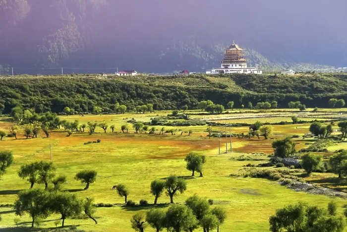 Framed Print : Chinese pagoda on a vast meadow in Tibet Framed Print : Chinese pagoda on a vast meadow in Tibet