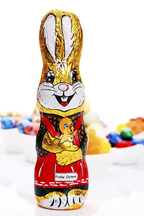 Framed Print : Chocolate easter bunny