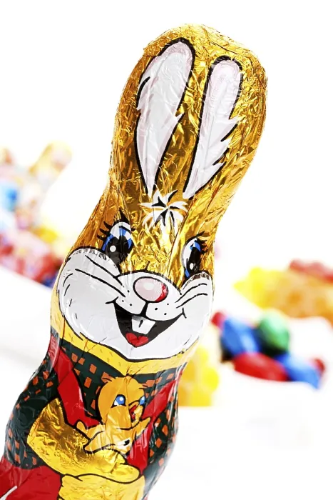Framed Print : Chocolate easter bunny Framed Print : Chocolate easter bunny